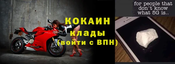 твердый Арсеньев