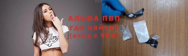 твердый Арсеньев