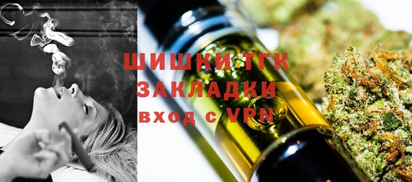 ПСИЛОЦИБИНОВЫЕ ГРИБЫ Алексеевка