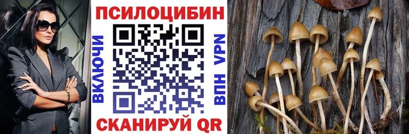 Псилоцибиновые грибы Psilocybine cubensis  продажа наркотиков  Елец 