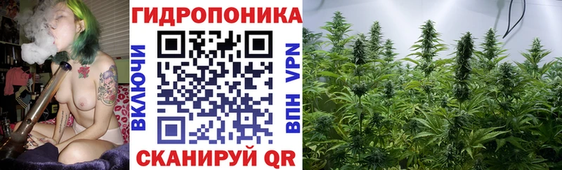 продажа наркотиков Елец Каннабис Amnesia
